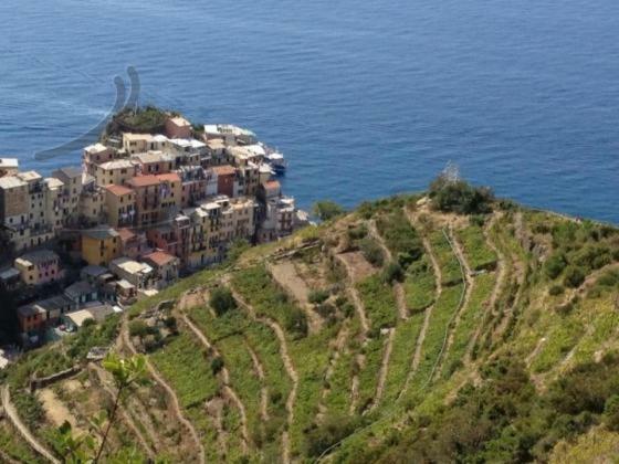 Appartamento Vacanze "Borgo Cinque Terre" Volastra Manarola מראה חיצוני תמונה